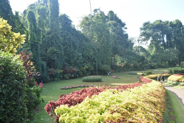 Visit Peradeniya botanical Garden
